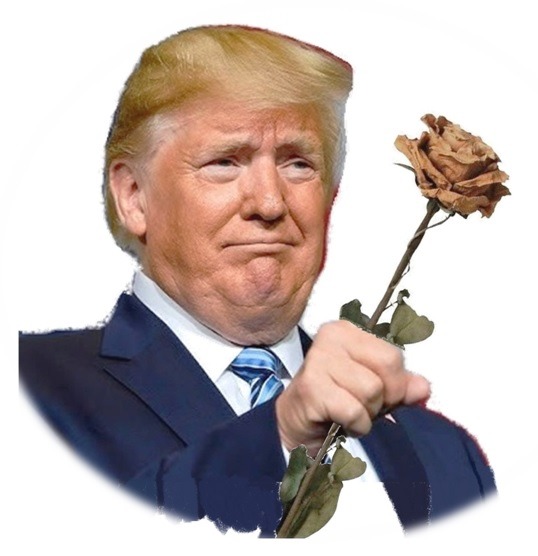 Donald Trumps TV shows.